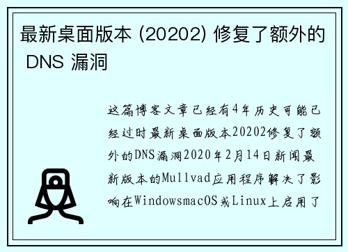 最新桌面版本 (20202) 修复了额外的 DNS 漏洞 